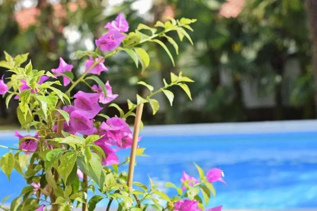 Apartment In Porec With Balcony, Wifi 819-4